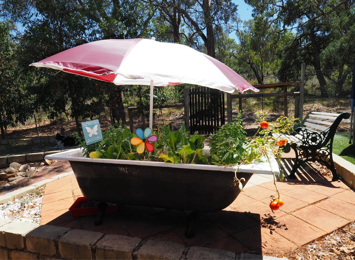 Darlington House Bed and Breakfast Εξωτερικό φωτογραφία